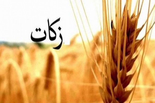 زکات قم